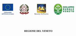 Bando Veneto